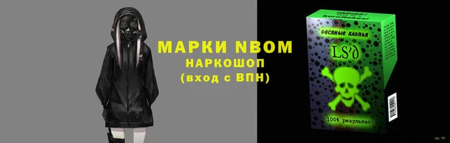 a pvp Аркадак